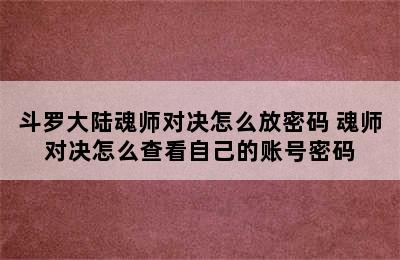 斗罗大陆魂师对决怎么放密码 魂师对决怎么查看自己的账号密码